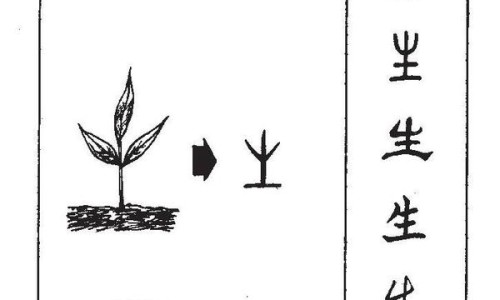 复方鸡内金片的副作用及禁忌-复方鸡内金片药 图片网 | 复方鸡内金片治什么病,复方鸡内金片的副作用及禁忌
