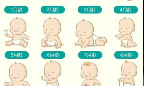 复方鸡内金片能治肾结石吗?-复方鸡内金片药 图片网 | 复方鸡内金片治什么病,复方鸡内金片的副作用及禁忌